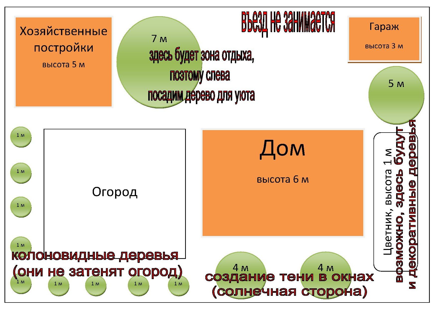 Какое дерево посадить