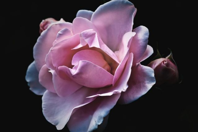 Impatient? Why and How to Practice Patience | Psychology Today