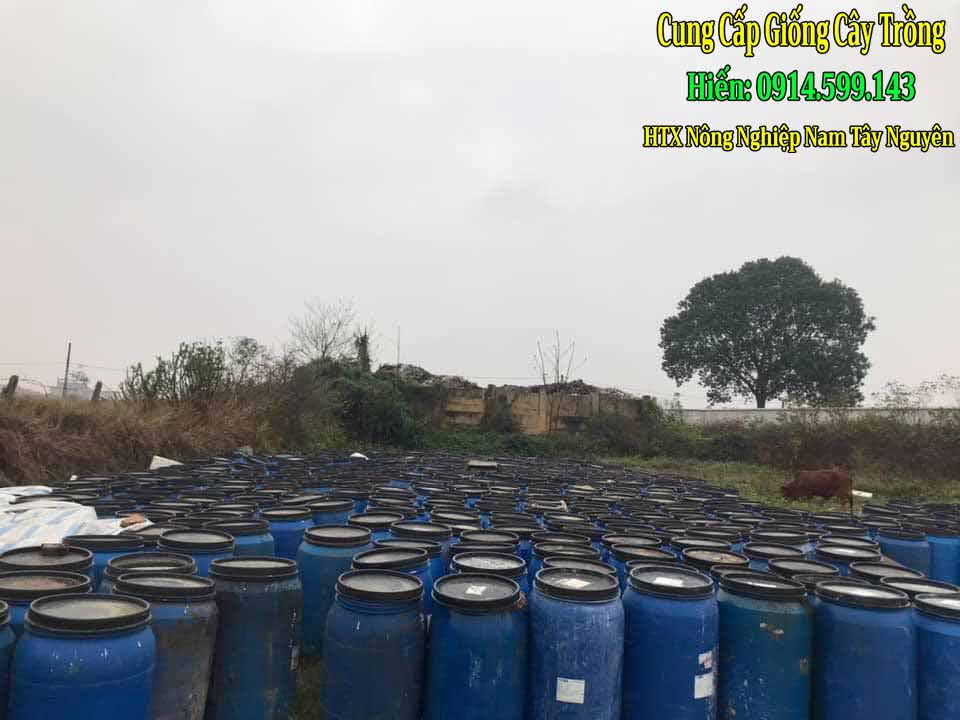 Đạm cá có được nhiều người sử dụng