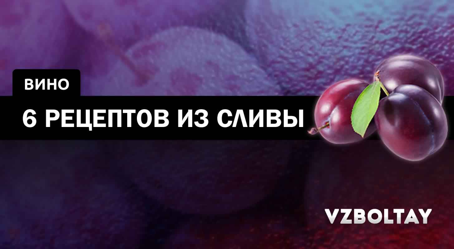 Сливовое вино: 6 рецептов в домашних условиях + советы и видео