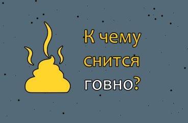 К чему снится ГОВНО