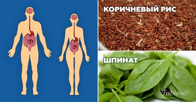 Топ 11 продуктов, с которыми вы забудете о проблемах с желудком раз и навсегда!