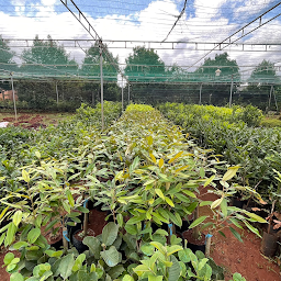 HTX Nam TÃ¢y NguyÃªn Â· ThÃ´n 10, Äáº¯k Láº¯k, ÐÊ¼ÑÑÐ½Ð°Ð¼