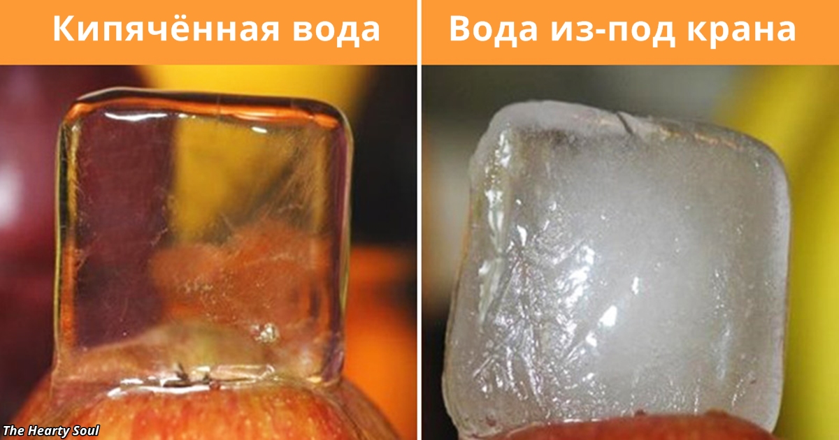 39 фактов о мире вокруг, которые заставят открыть рот даже самых умных из нас - Lifter