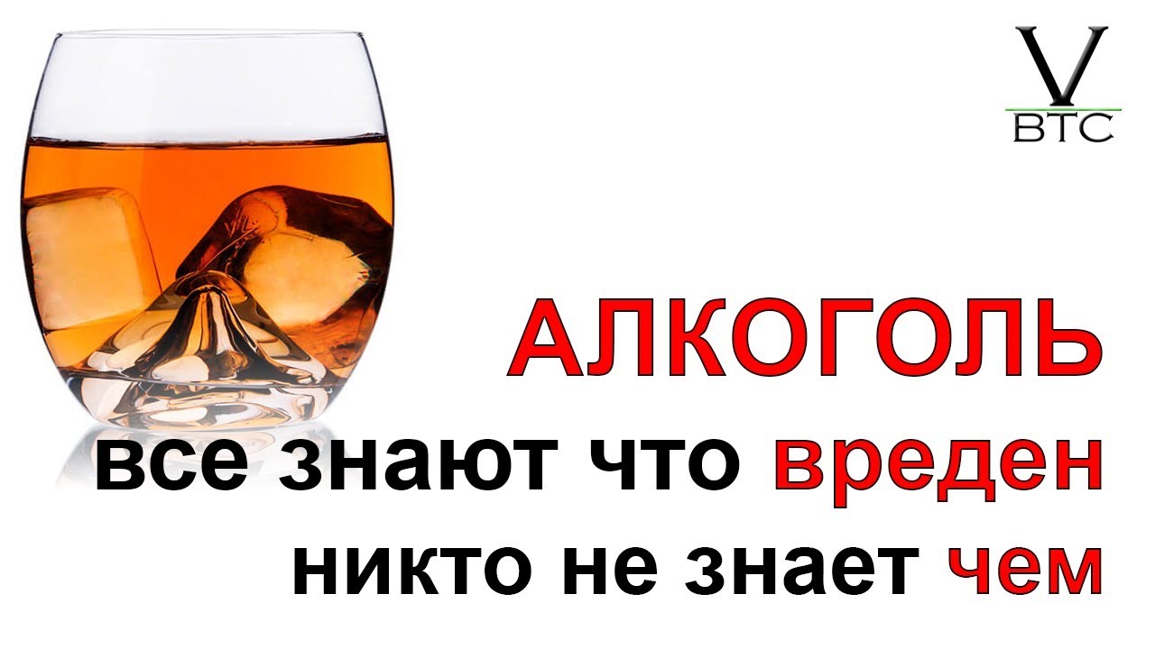 Алкоголь - механизм влияния на организм. Лекция Жданова об алкоголе и курении. - YouTube