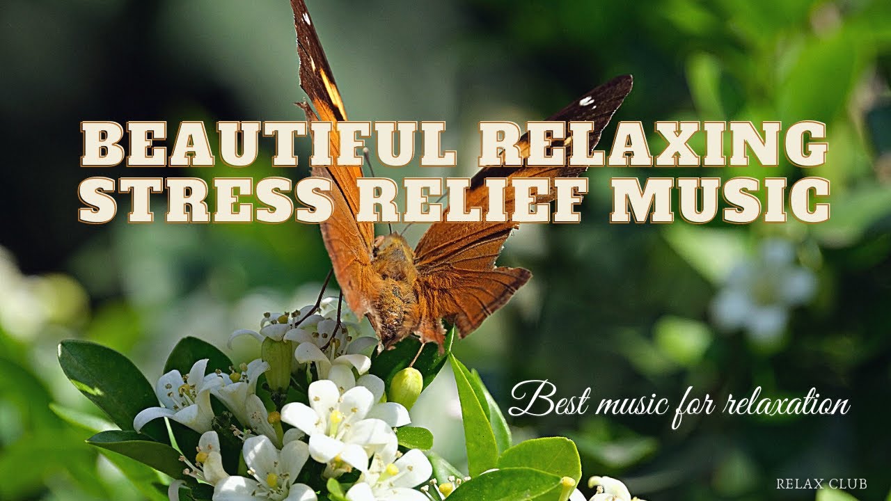 Beautiful Relaxing Stress Relief Music - YouTube