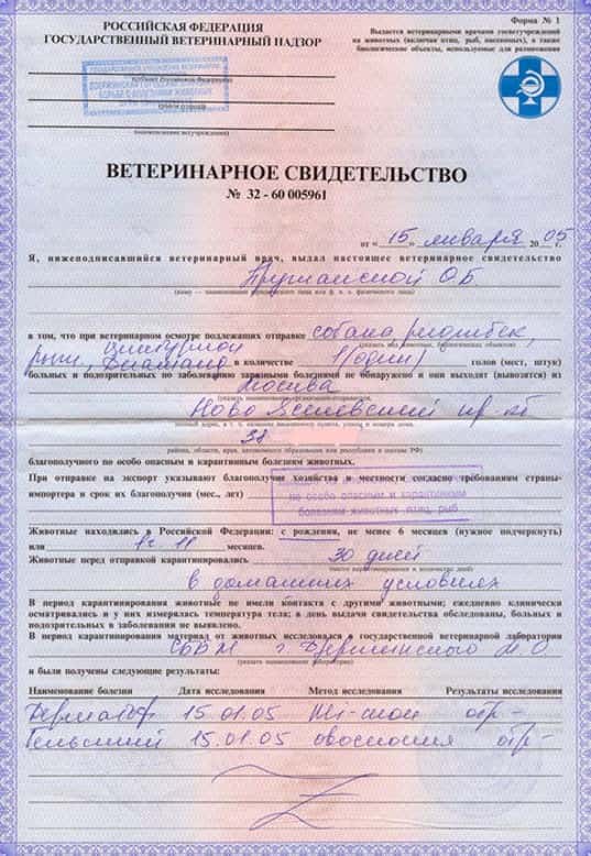 Купить справку собаке по форме Ф1 в Москве без прохождения ветеринаров